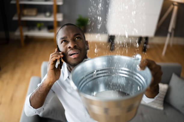 Best Mold removal after water damage  in Huron, CA