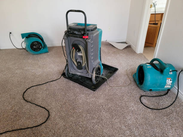Best Water damage restoration insurance claims  in Huron, CA