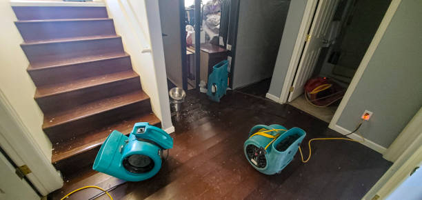 Best Carpet water damage restoration  in Huron, CA