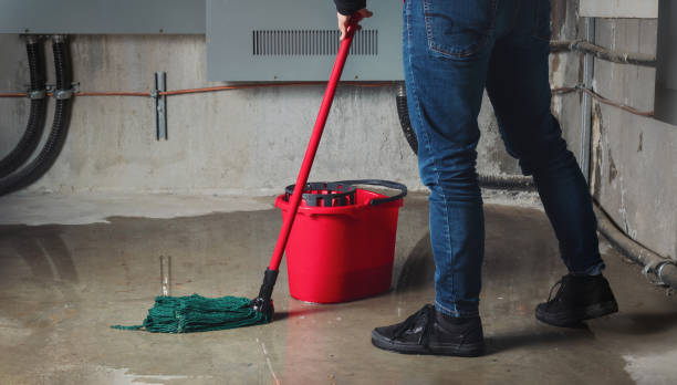 Best Flood damage cleanup  in Huron, CA