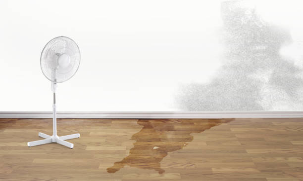 Water damage restoration mold remediation in Huron, CA