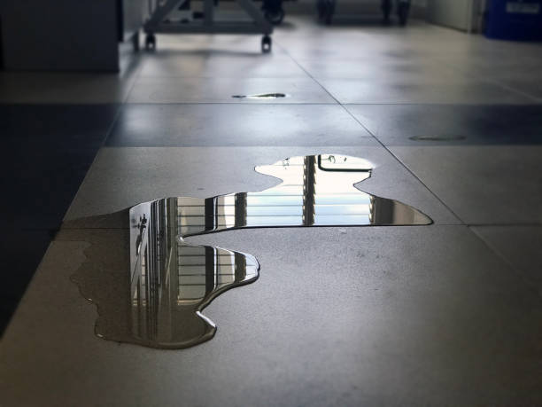 Best Water damage contractors near me  in Huron, CA