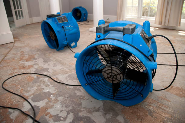 Trusted Huron, CA Water damage restoration Experts
