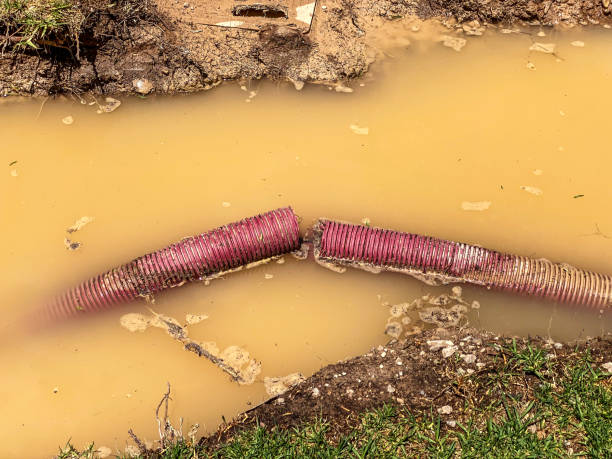 Best 24-hour water damage restoration  in Huron, CA