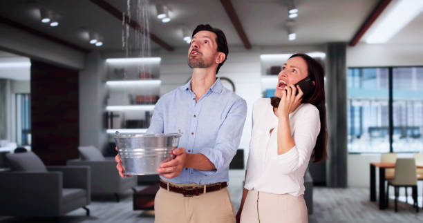 Best Ceiling water damage repair  in Huron, CA